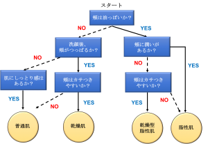肌質チェック