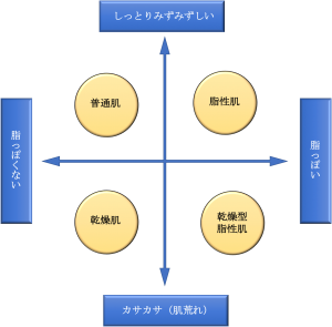 肌質の分類
