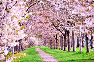 【春のスキンケア対策】敏感肌になりやすい季節！肌に優しいメンズスキンケア7選