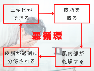 ニキビ 皮脂