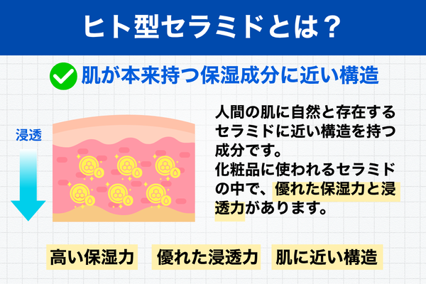 ヒト型セラミドとは